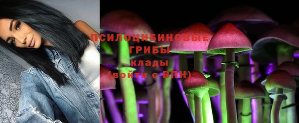 кокаин премиум Белокуриха