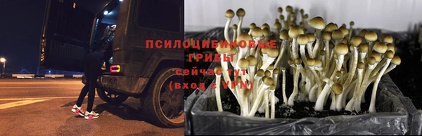 кристаллы Белоозёрский